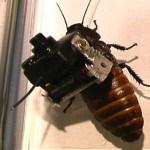 cockroach camera